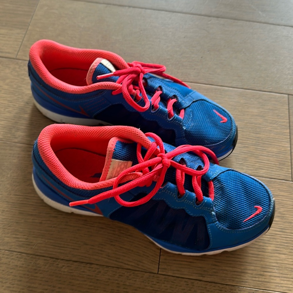 Nike Blue and Pink Flex Trainer 2
